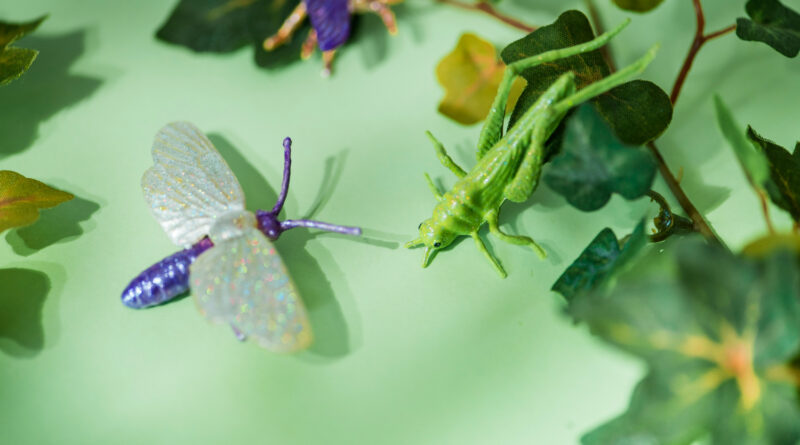 Dragonfly Visit