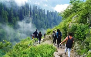 Moderate to hard trails for experienced hikers kasauli