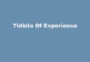 Tidbits Of Experience