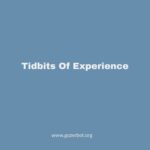 Tidbits Of Experience