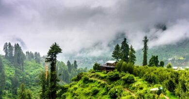 Top Hiking Trails In Kasauli For Beginners and Experts