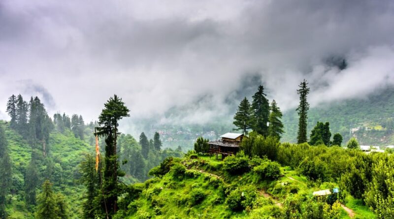 Top Hiking Trails In Kasauli For Beginners and Experts